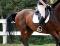 Beau half pad pas cher