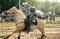 Guelding de gymkhana