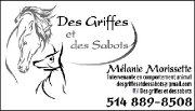 Professionnelle en comportement animal / Diplômée 