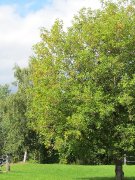 Pension intérieur disponible!