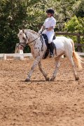 Demi-pension disponible pour un poney merveilleux!