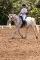 Demi-pension disponible pour un poney merveilleux!