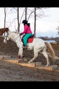 Demi-pension disponible pour un poney merveilleux!