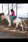 Demi-pension disponible pour un poney merveilleux!