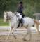 Demi-pension disponible pour un poney merveilleux!