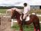 QH x Canadian