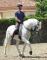 ENTRAINEUR-CAVALIER de dressage haute-école