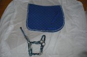 licou + tapis à vendre