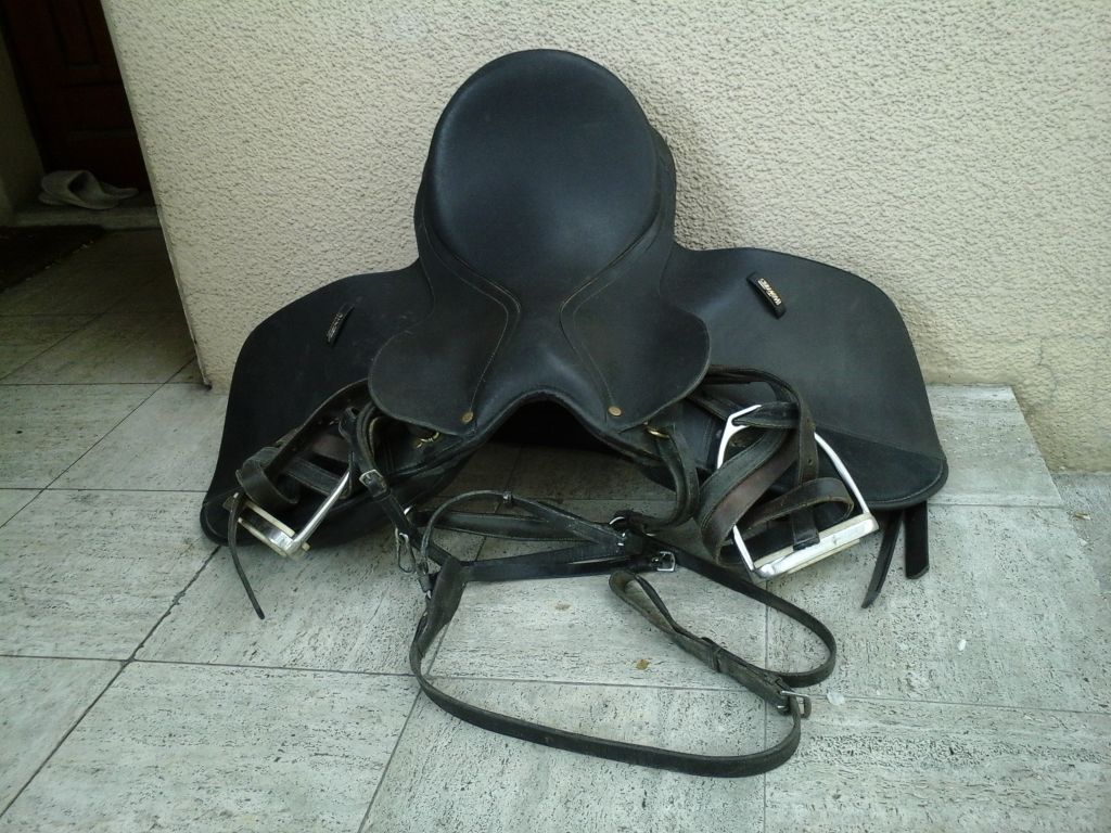 vends selle mixte wintec avec collier de chasse, étrivières