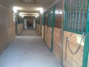 Fermette a vendre, potentiel de  revenue 7500/mois 