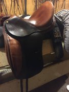 selle de dressage