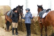 camp de jour et cours d'équitation