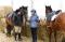 camp de jour et cours d'équitation