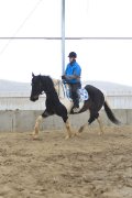 camp de jour et cours d'équitation