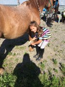 camp de jour et cours d'équitation