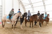 camp de jour et cours d'équitation