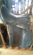 Selle, Guetres, Licou show a vendre