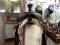 Selle Western Wintec 