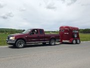 Transport de chevaux
