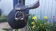 Selle classique - parfaite pour le saut