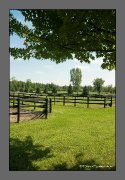 Vue sur les paddocks des poneys