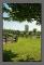Vue sur les paddocks des poneys