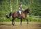 Demi-Pension disponible Jument Quarter Horse