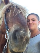 Recherche d'emplois | Palefrenière 