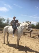 Recherche d'emplois | Palefrenière 
