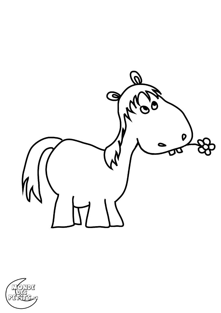 Chevaux qui ont besoin de millage ?!