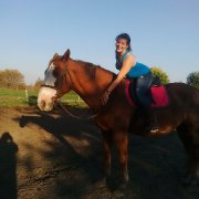 Jument de dressage et d'école