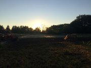 Pension pour chevaux 