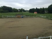 Pension pour chevaux 