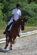 Cours d'équitation classique (dressage)