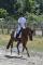 Cours d'équitation classique (dressage)