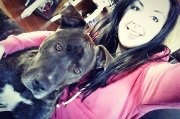 En compagnie de mon chien