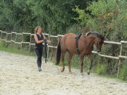 Cours d'équitation par coach certifiée 