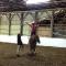 Cours d'équitation par coach certifiée 