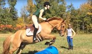 Cours d'équitation par coach certifiée 