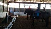 Cours d'équitation par coach certifiée 