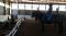 Cours d'équitation par coach certifiée 