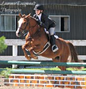 Medium poney chasseur/sauter
