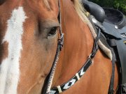 Belles selles western