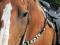 Belles selles western