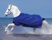Atlantic blue 115$