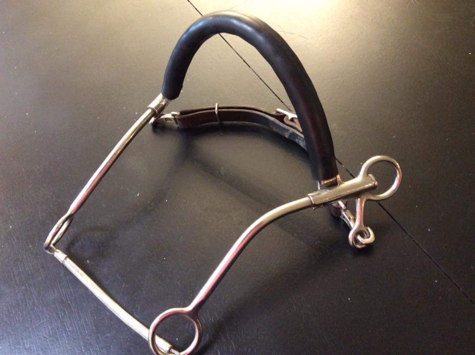 Hackamore professional's choice