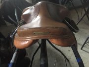 SELLE DE SAUT (À VENDRE) / DOMINUS // SHERBROOKE (Estrie)