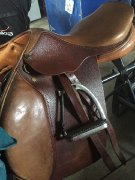 SELLE DE SAUT (À VENDRE) / DOMINUS // SHERBROOKE...