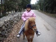 Joli Poney, Alezan Crins lavés