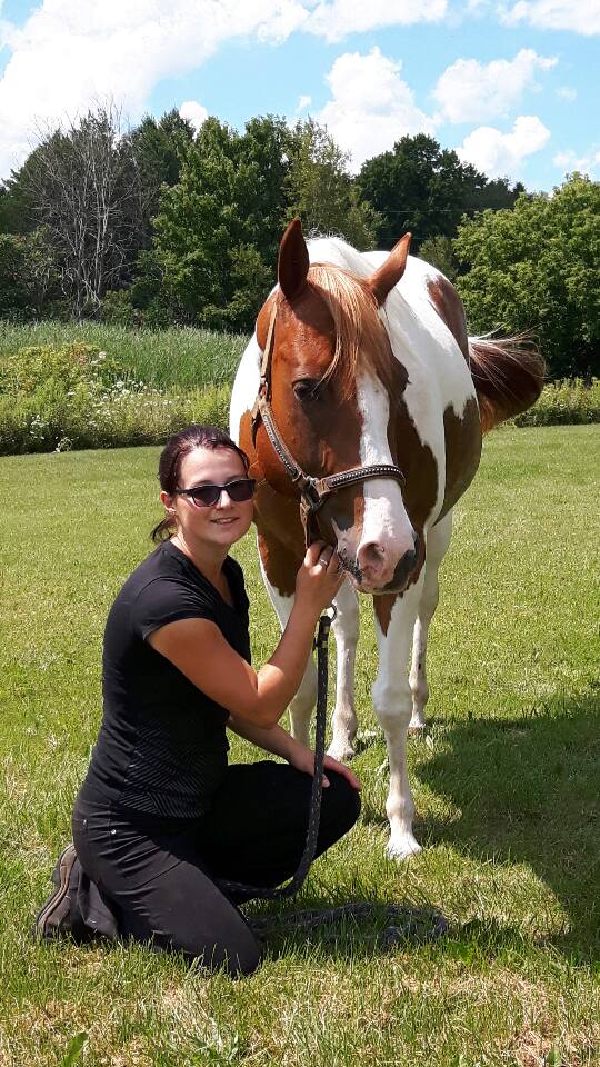Entraînement pour chevaux et poulains